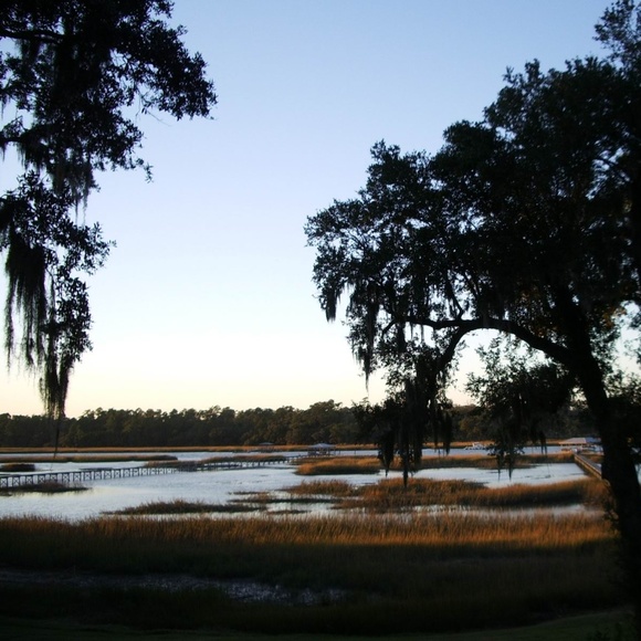 Meet your Posher, Courtney - Picture 2 of 6